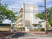 小学校 1240m 市川市立曽谷小学校