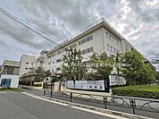 中学校 490m 葛飾区立新宿中学校