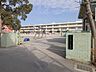 周辺：小学校 700m 流山市立流山小学校