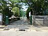 周辺：小学校 260m 松戸市立殿平賀小学校