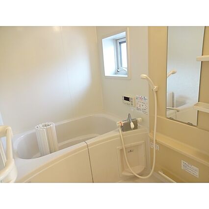 ディアスシャイロB_その他_0