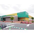 スーパー「ツルヤ山口店まで1353ｍ」