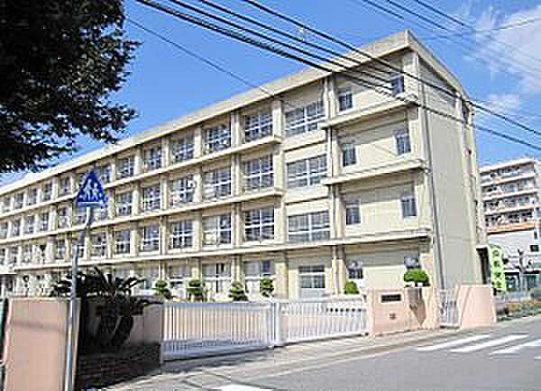 画像24:【小学校】錦浦小学校まで5ｍ