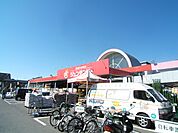 ジュンテンドー 古市店（428m）