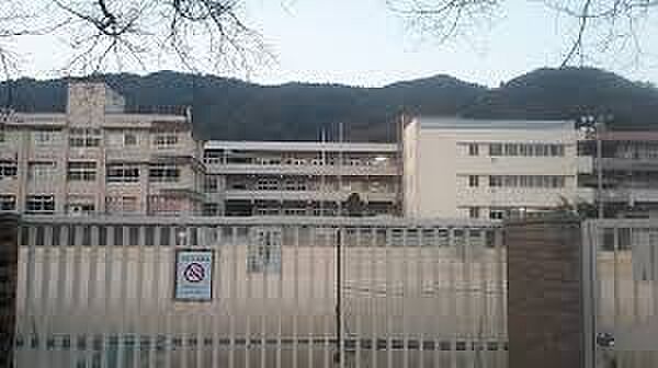 広島市立亀山小学校（1593m）