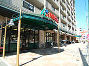 FRESTA（フレスタ） 東原店（647m）