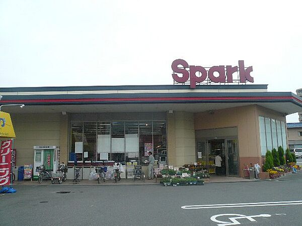 画像16:スーパー「スパーク廿日市店まで371ｍ」