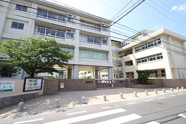 画像11:小学校「広島市立緑井小学校まで759ｍ」