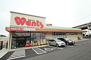 ドラックストア「ウォンツ波出石店まで531ｍ」