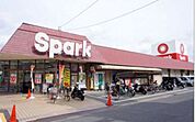 スーパー「スパーク江波店まで313ｍ」