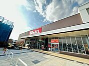 ドラックストア「ウォンツフジ古市店まで307ｍ」