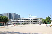 小学校「広島市立天満小学校まで284ｍ」