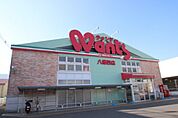 ドラックストア「ウォンツ八幡西店まで230ｍ」
