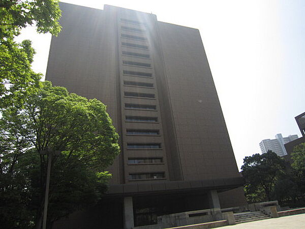 画像18:役所「広島市役所まで517ｍ」