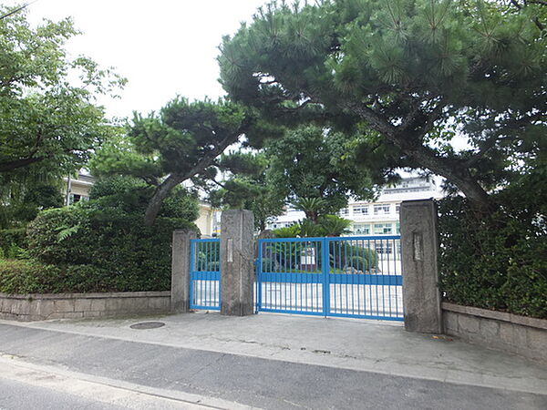 画像18:小学校「広島市立大芝小学校まで187ｍ」