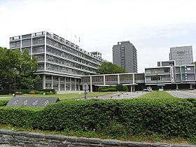 広島県広島市中区橋本町（賃貸マンション1LDK・3階・44.37㎡） その19