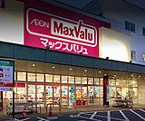 スーパー「マックスバリュ江波店まで738ｍ」