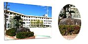 小学校「広島市立中野東小学校まで422ｍ」