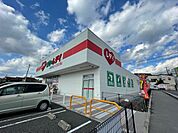 ドラックストア「くすりのレデイ広島西条店まで1231ｍ」