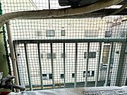 ※別部屋の写真です