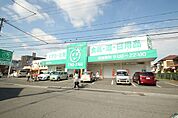 ドラックストア「ザグザグ古市店まで553ｍ」