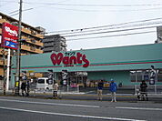ドラックストア「ウォンツ己斐本町店まで508ｍ」