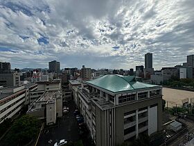 デュレーヴ国泰寺  ｜ 広島県広島市中区国泰寺町1丁目（賃貸マンション1LDK・10階・40.50㎡） その15