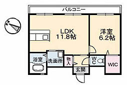 C.C.コート五日市駅前 1LDKの間取図画像
