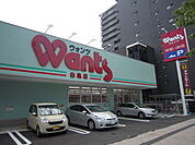 ウォンツ白島店