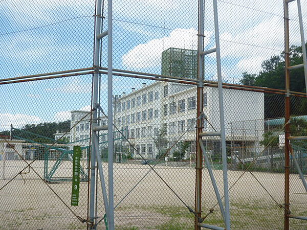 画像14:小学校「広島市立早稲田小学校まで1153ｍ」
