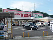 ドラックストア「スーパードラッグひまわり中山店まで1265ｍ」