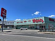 ドラックストア「ウォンツ長束店まで482ｍ」