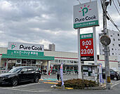 スーパー「ピュアークック東雲店まで441ｍ」