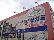 ドラックストア「ドラッグセガミ東雲店まで749ｍ」