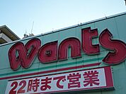 ドラックストア「ウォンツ船越店まで316ｍ」