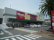 ドラックストア「ウォンツ江波店まで195ｍ」