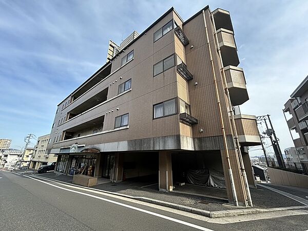 広島県広島市西区古江西町(賃貸マンション3LDK・4階・67.96㎡)の写真 その1