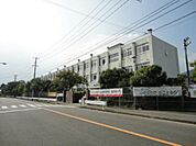 小学校「広島市立安西小学校まで1442ｍ」