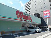 ドラックストア「ウォンツ白島店まで386ｍ」