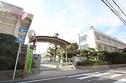 小学校「広島市立南観音小学校まで686ｍ」