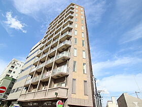 広島県広島市南区金屋町（賃貸マンション1R・7階・26.82㎡） その1