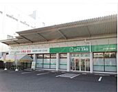 ドラックストア「ザグザグ光南店まで311ｍ」