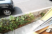 ※別部屋の写真です