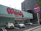 ドラックストア「ウォンツ白島店まで603ｍ」
