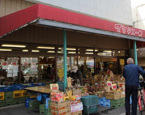 小口コーポ ｜広島県広島市西区観音本町1丁目(賃貸マンション2DK・1階・42.00㎡)の写真 その16