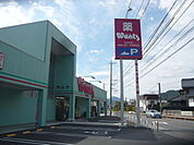 ドラックストア「ウォンツ八木店まで1521ｍ」
