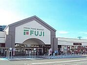 フジ庚午