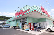 ドラックストア「ウォンツ緑井店まで308ｍ」