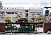 小学校「広島市立中島小学校まで518ｍ」