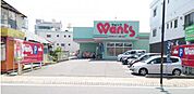 ドラックストア「ウォンツ五日市コイン通り店まで1119ｍ」